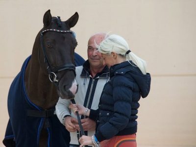 Laus, Rizzo e Sansone in rettangolo