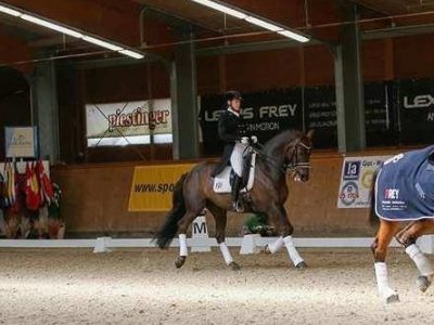 CDI3* Lake Arena di Wiener Neustadt: Norma Paoli bene nel Big Tour