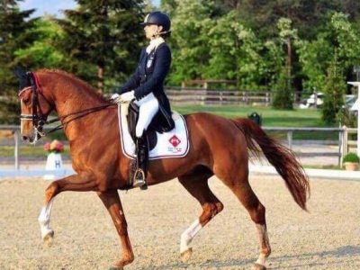 CDNB Le Lame: Ciampa in evidenza