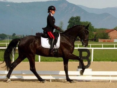 CDNB None: buoni risultati per il Centro Equestre Monferrato