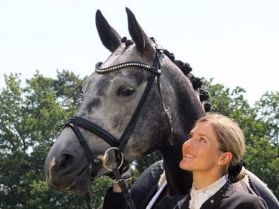 Una giornata nella vita di un cavallo dell’ Asta di Verden