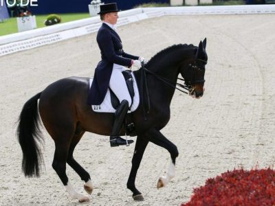 CDI 5* Monaco: Laus sesta