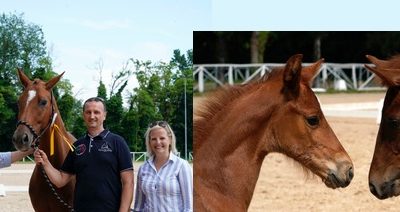 Fonteabeti ha ospitato la rassegna Hannover 2018