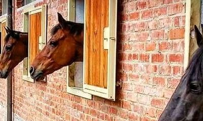 HorsEtta dove i sogni diventano realtà