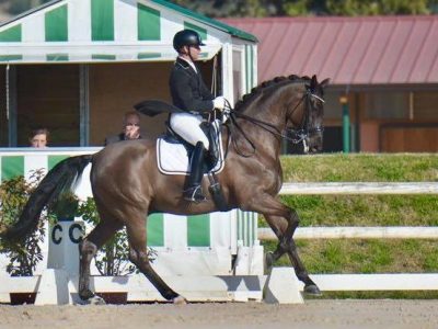 CDI 3* Nizza bene gli azzurri!