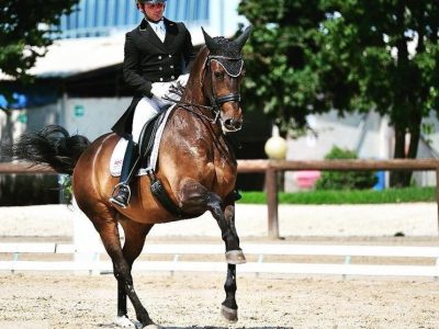 CDI 3* Ornago: kur d’ oro per la Arturi, Brenna inevidenza