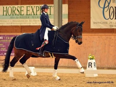 Remold ancora una vittoria  a Wiener Neustadt
