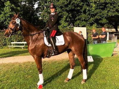 Lipica bene anche i giovani cavalli