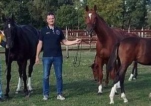 Con Amahorse per tornare grandi