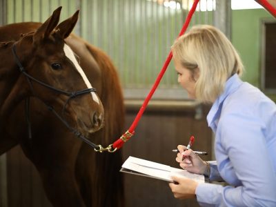 Fonte Abeti riconoscimenti dalla Commissione Hannoveraner Verband