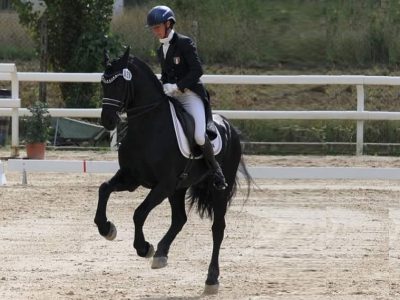 Claudia Montanari regina con i suoi frisoni