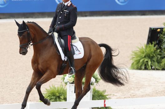 WEG 2022 diviso in due