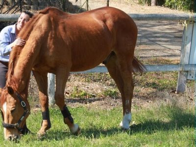 Valentina Truppa: la vita ai tempi del Coronavirus