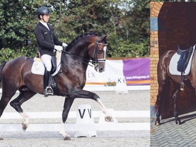 Riccardo Sanavio… la nuova avventura