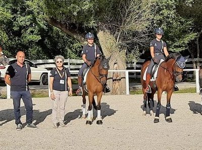 Europei tocca ai pony