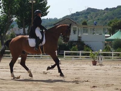 Calabria: Terra di cavalli e cavalieri