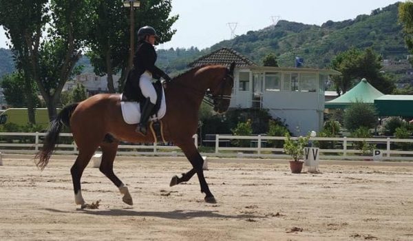 Calabria: Terra di cavalli e cavalieri