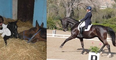 Il Dressage si sviluppa anche nelle regioni del Sud Italia. Una bella storia.