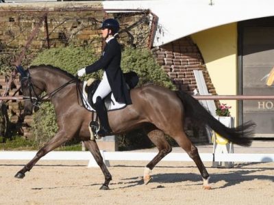 Grande inizio di gare a Cattolica
