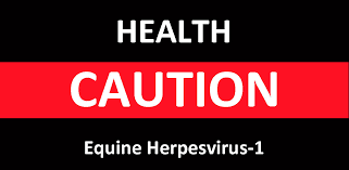 Allarme EHV-1 alt alle gare!