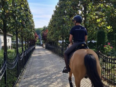 BINOMI ITALIANI AI CDI DI UNGHERIA, FRANCIA E GERMANIA