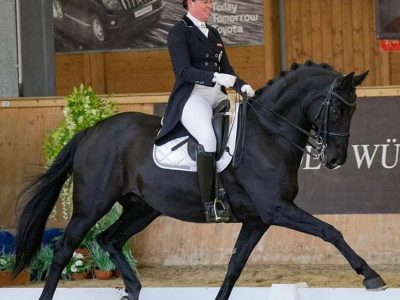 UN ALTRO SUCCESSO IL CDI 3* ALLE SCUDERIA DELLA MALASPINA