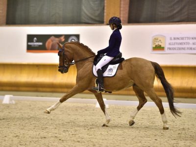 WHAT A DAY AI CAMPIONATI PONY