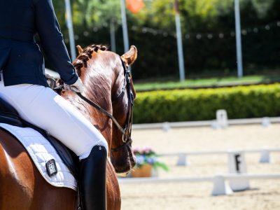 Calendario Gare Dressage 2022