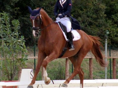 Intervista a Silvia Ciarrocchi