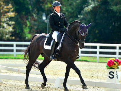 Il Viaggio del Centauro: una nuova rubrica a cura di Michele Toldo