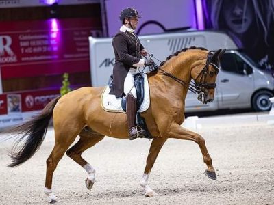 Kevin Van Ham: il cavaliere di paradressage che monta in Gran Prix