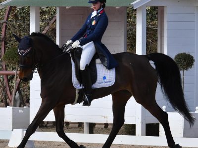 Pronti per il primo CDI dell’anno alle Scuderie della Malaspina