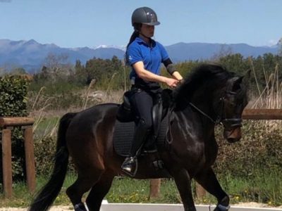 Un giovane cavallo arriva in WorldSoul Onlus