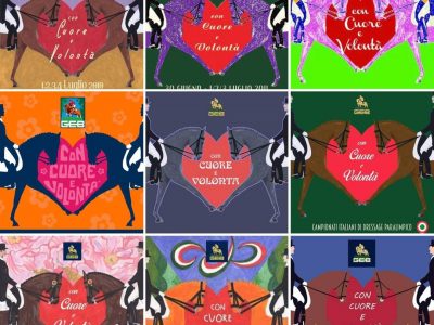 Addio allo CPEDI*** di Somma Lombardo “Con cuore e volontà”￼