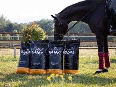 GIMA Spa: la nuova linea Winner Horse Feed