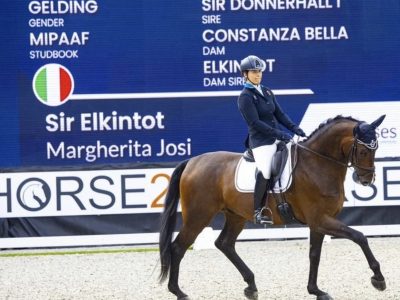 Campionati del Mondo Giovani Cavalli – Ermelo 2022