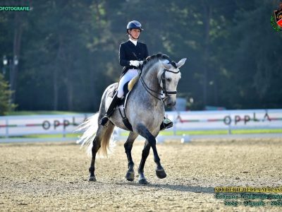 Han Dressage & Co., il nuovo progetto di Alexandra Turcu