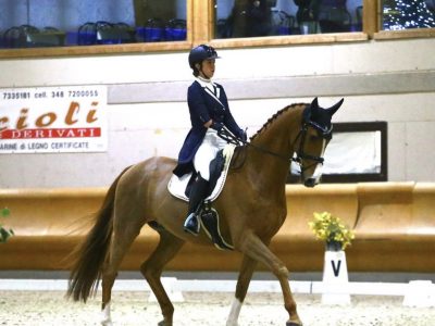 Dressagisti a Natale