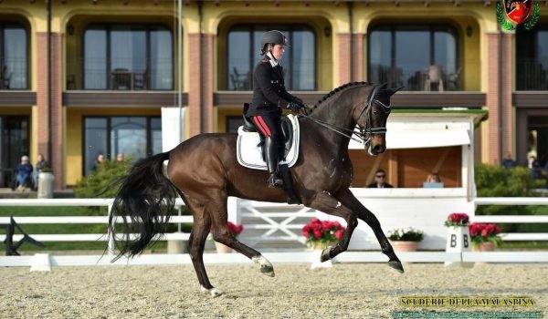 CDI3* Ornago 2024: i risultati.