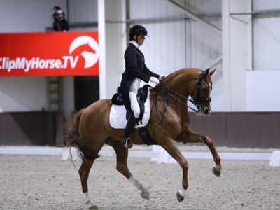 CDI3* Addington: Nathalie Wahlund e Cerano Gold.