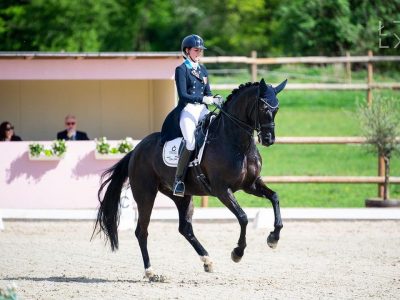 Azzurri che si dividono tra Italia e estero: Cdi4* Windsor, Cdi3* Exloo e Cdi3* Verolanuova.