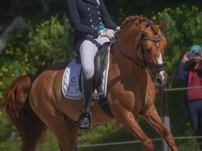 Europei pony: I Convocati.