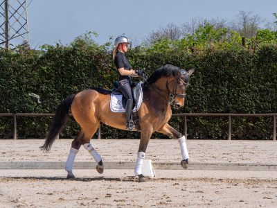 Lo sdoppiamento del cavaliere.