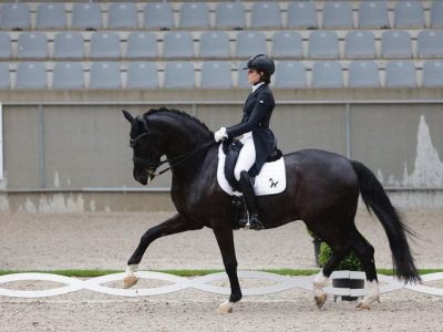 Waiting for the Europeans: a tu per tu con Virginia Spoenle.