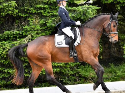 Waiting for the Europeans: a tu per tu con Matilde Manzato.