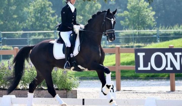 FEI WBFSH Ermelo 2024: tutti i risultati degli azzurri.