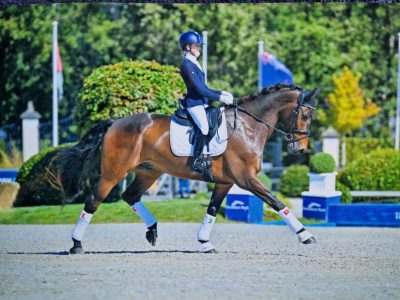 CDI Salisburgo e Aachen Dressage Youngstars.