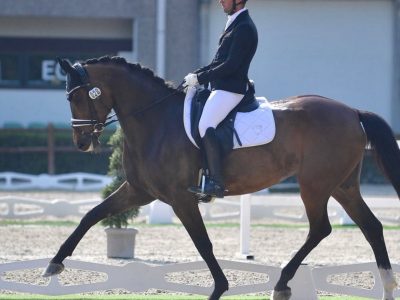 CDI3* Verolanuova: risultati e protagonisti del concorso internazionale