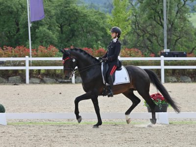 Dressage: selezionati i binomi azzurri per i Mondiali Giovani Cavalli 2025 di Verden