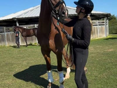 Dressage internazionale: Nathalie Wahlund in gara a Deauville nel CDI3*